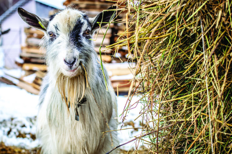 Reduce Energy Use on the Farm